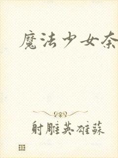 魔法少女奈叶2封面