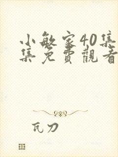 小敏家40集全集免费观看
