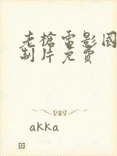 老枪电影国语译制片免费