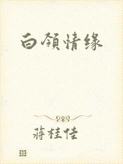 白领情缘