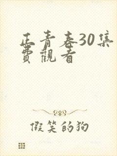 正青春30集免费观看