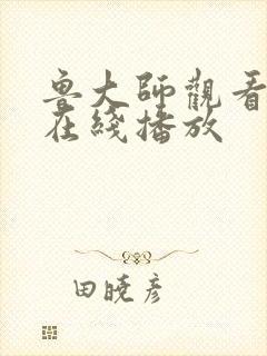 鲁大师观看高清在线播放