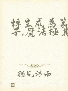 转生成为第七王子,魔法极其逆天封面