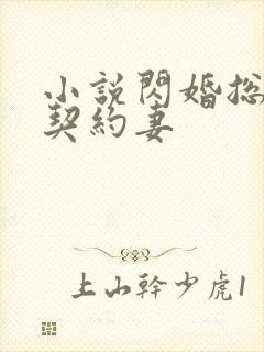 小说闪婚总裁的契约妻封面