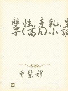 双性,产乳,生子(高h)小说