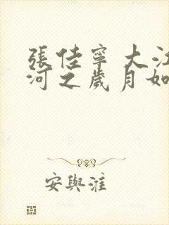 张佳宁 大江大河之岁月如歌封面