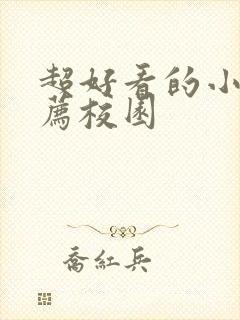 超好看的小说推荐校园封面