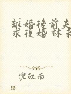 离婚后前夫哭着求复婚 林未央