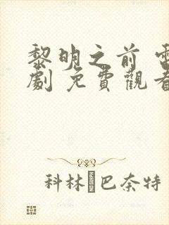 黎明之前 电视剧 免费观看