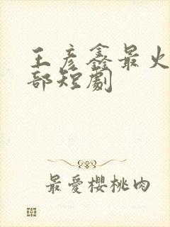 王彦鑫最火的十部短剧