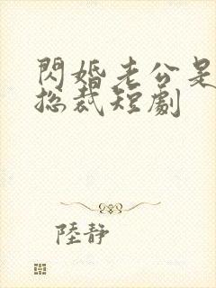 闪婚老公是亿万总裁短剧