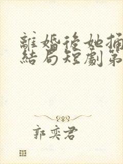 离婚后她捅破天结局短剧第95集封面