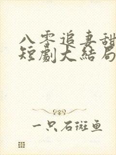 八零追妻甜蜜蜜短剧大结局