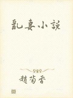 乱妻小说封面