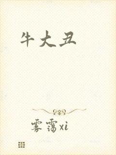 牛大丑封面