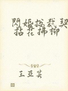 闪婚总裁契约妻 拈花拂柳