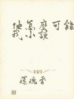 他怎么可能喜欢我小说