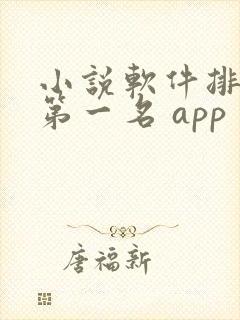 小说软件排行榜第一名 app