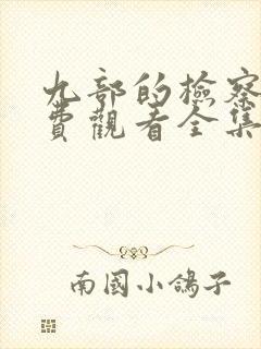 九部的检察官免费观看全集13集