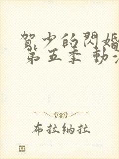 贺少的闪婚暖妻 第五季 动漫封面