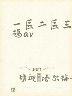 一区二区三区乱码av