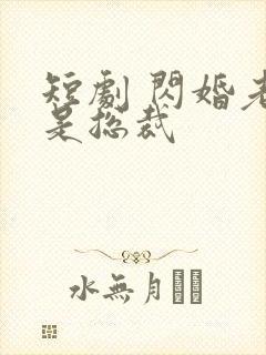 短剧 闪婚老公是总裁封面