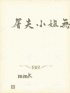 屠夫小姐无删减封面