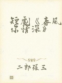 短剧《春风不及你情深》封面