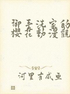 御手洗家的兄妹樱花动漫观看