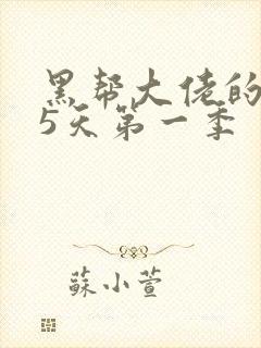 黑帮大佬的365天第一季