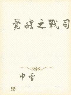 觉醒之战司空震