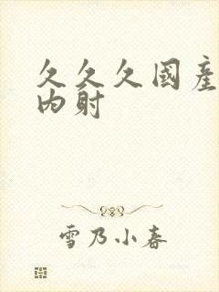 久久久国产三级内射