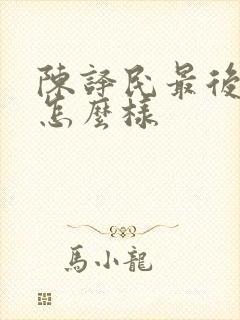 陈译民最后结局怎么样