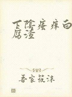 下阴瘙痒白带豆腐渣