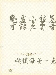 飞卢小说怎么样才能免费看封面