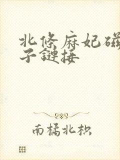 北条麻妃磁力种子链接