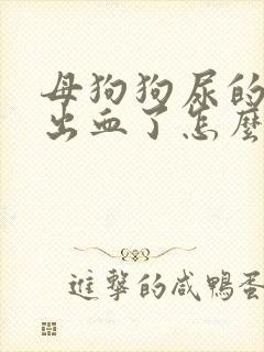 母狗狗尿的地方出血了怎么办