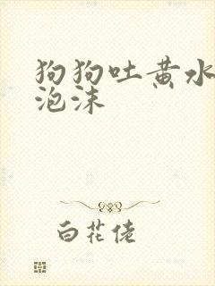 狗狗吐黄水带白泡沫