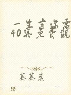 一生有你电视剧40集免费观看