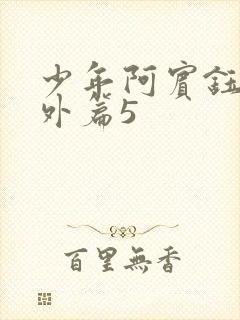 少年阿宾钰慧番外篇5