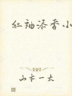 红袖添香小说封面