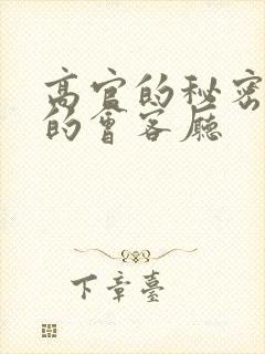 高官的秘密妻子的会客厅