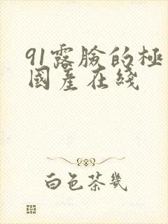 91露脸的极品国产在线封面