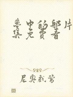 梦中的那片海全集免费看