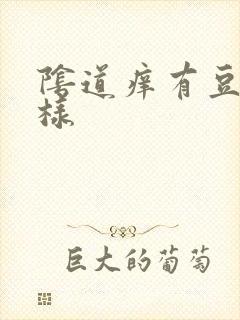 阴道痒有豆腐渣样