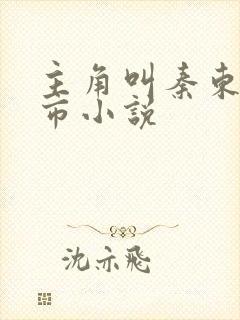 主角叫秦东的都市小说