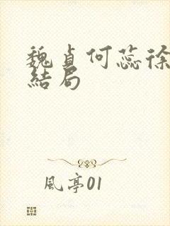 魏贞何蕊徐强大结局