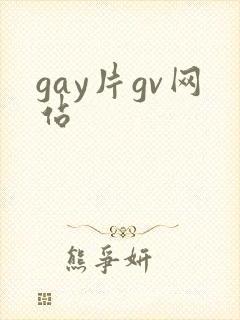 gay片gv网站