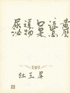 尿道口流黄色分泌物是怎么回事封面