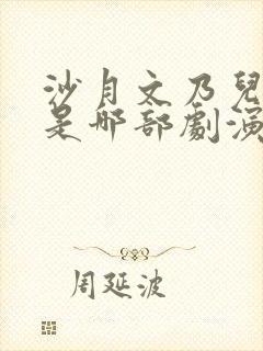 沙月文乃儿媳妇是哪部剧演员